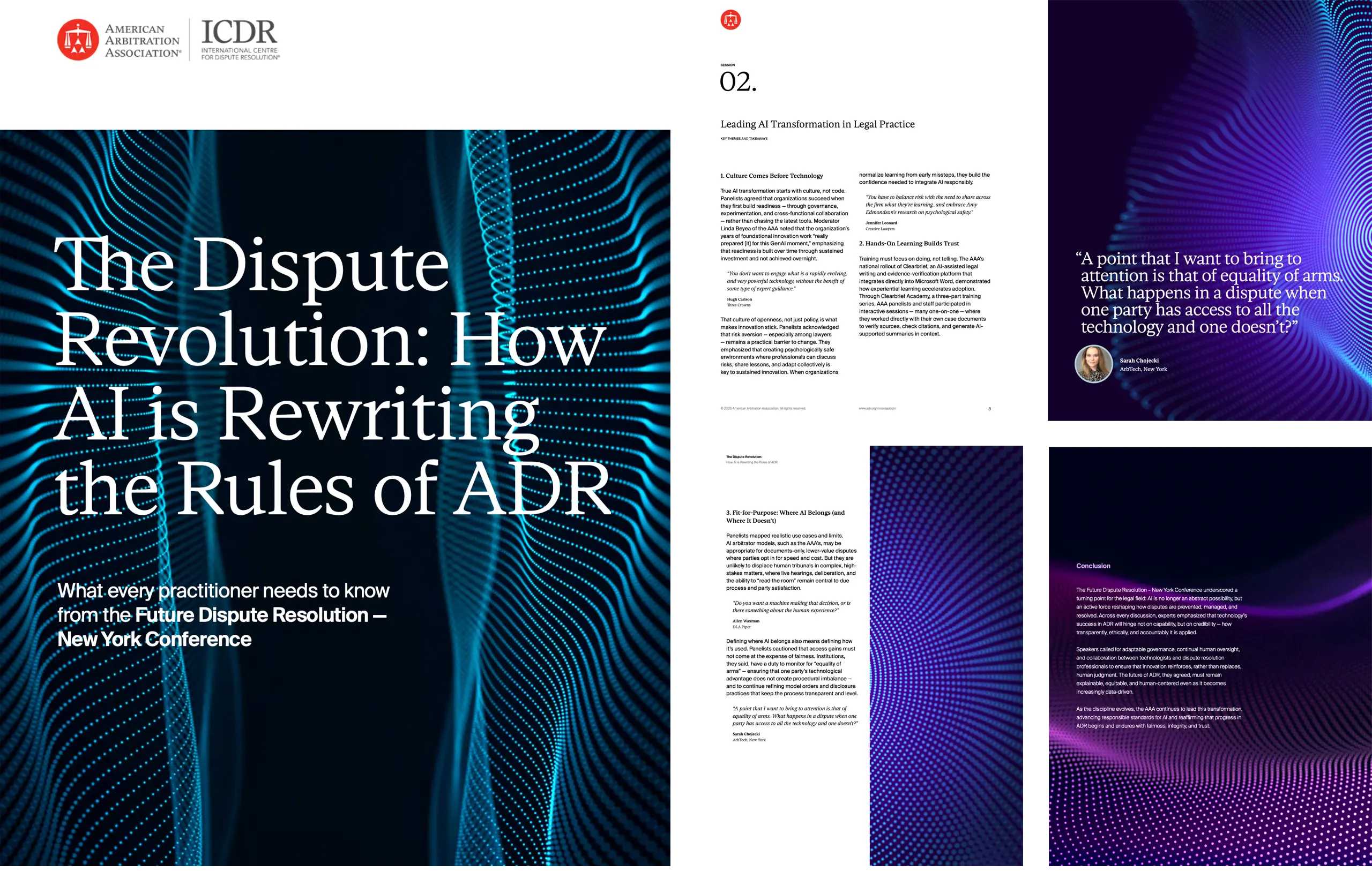 AAA White Paper - Dispute Revolution